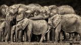 Fotogalerie: Am Puls der Natur - Bild 2