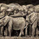 Fotogalerie: Am Puls der Natur - Bild 2