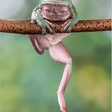 Fotogalerie: Am Puls der Natur - Bild 3