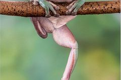 Fotogalerie: Am Puls der Natur - Bild 3