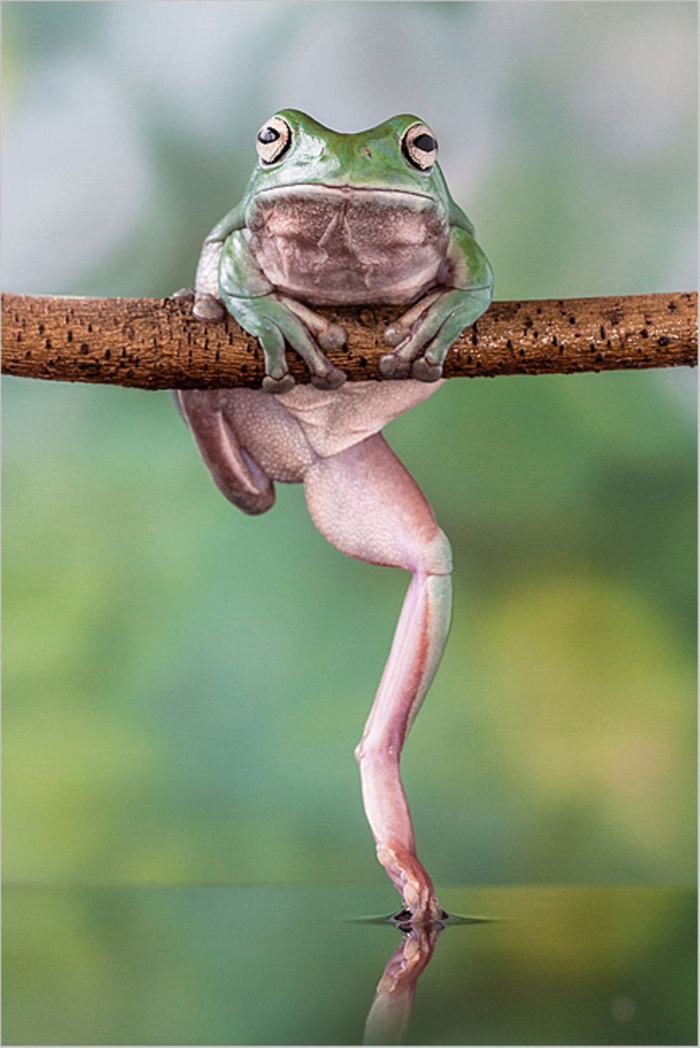 Fotogalerie: Am Puls der Natur - Bild 3