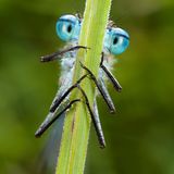 Fotogalerie: Am Puls der Natur - Bild 5