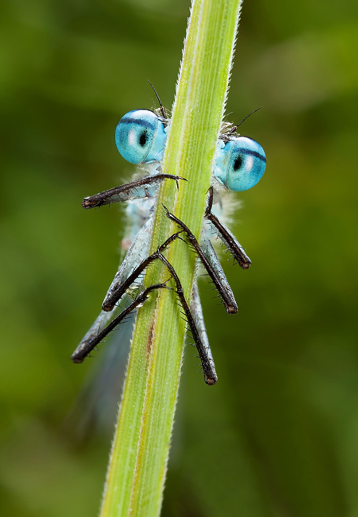Fotogalerie: Am Puls der Natur - Bild 5