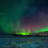 Fotogalerie: Am Puls der Natur - Bild 6