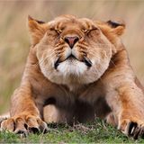 Fotogalerie: Am Puls der Natur - Bild 7