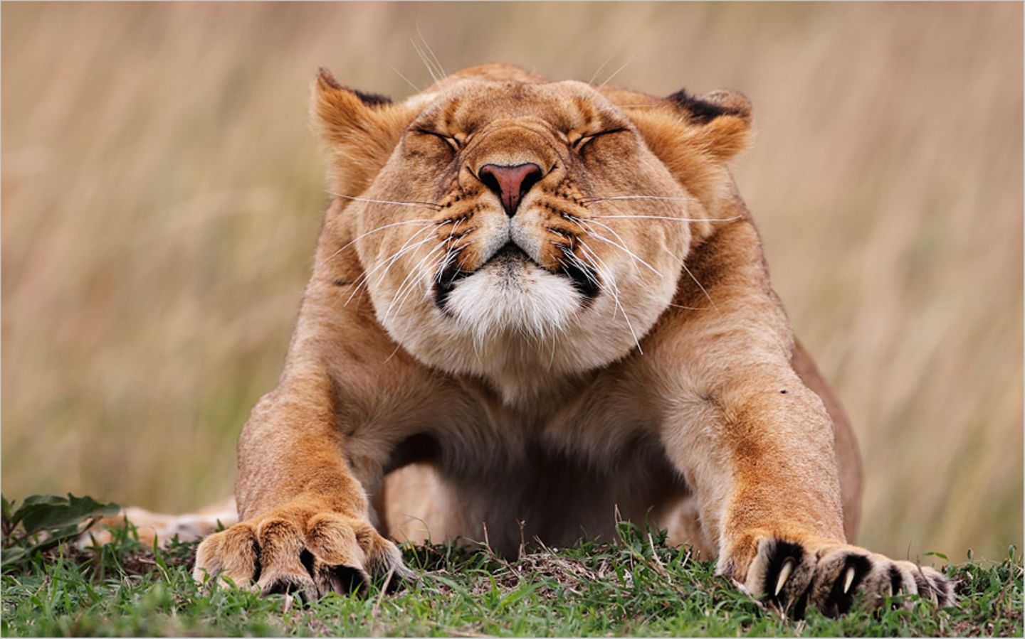 Fotogalerie: Am Puls der Natur - Bild 7