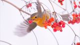 Fotogalerie: Am Puls der Natur - Bild 8