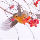 Fotogalerie: Am Puls der Natur - Bild 8