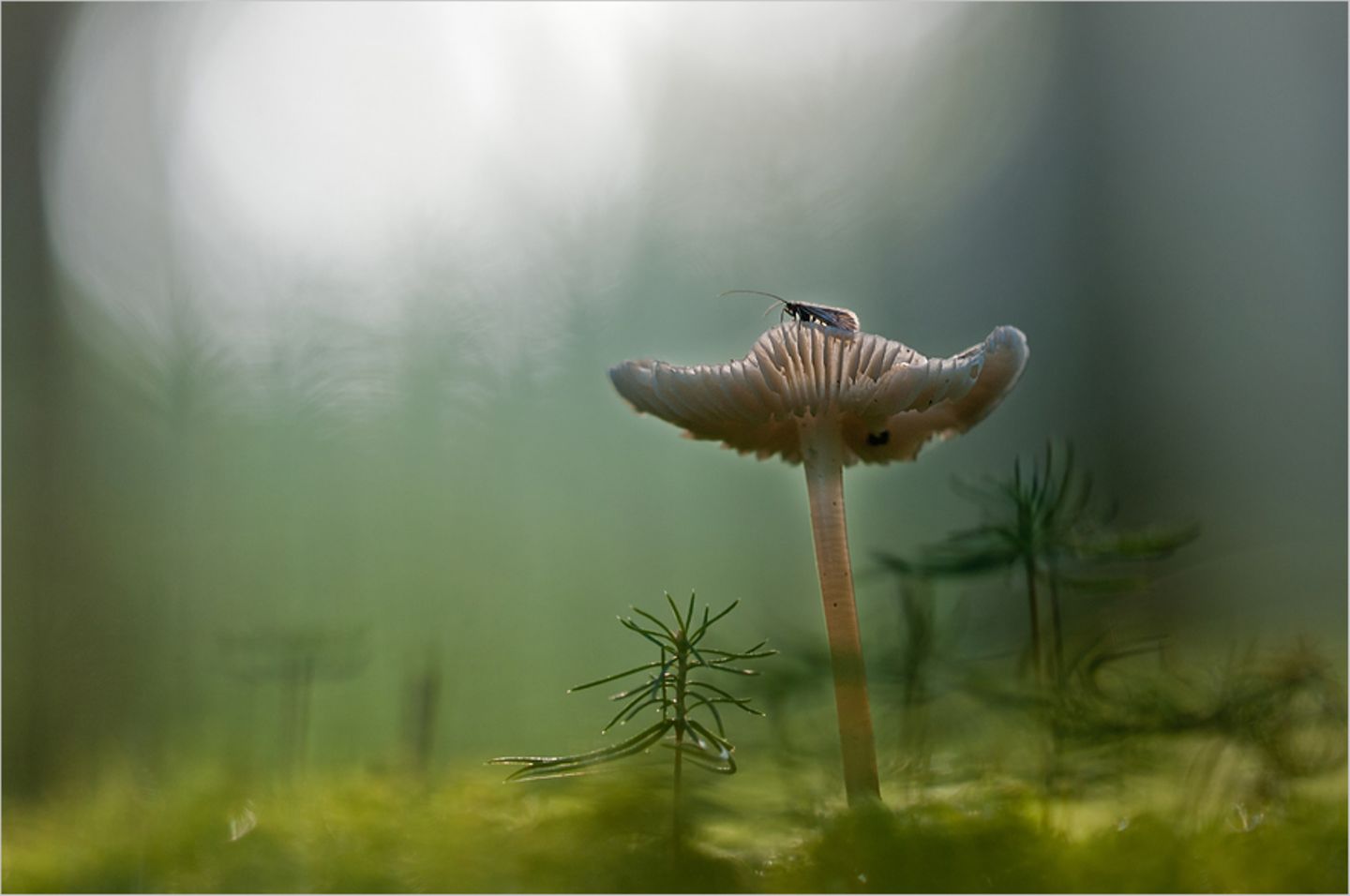 Fotogalerie: Am Puls der Natur - Bild 9