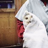 Tiere: Fotostrecke: In guten Händen