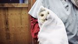 Tiere: Fotostrecke: In guten Händen