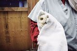 Tiere: Fotostrecke: In guten Händen