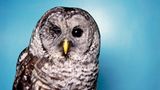 Tiere: Fotostrecke: In guten Händen - Bild 6