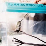 Tiere: Fotostrecke: In guten Händen - Bild 7