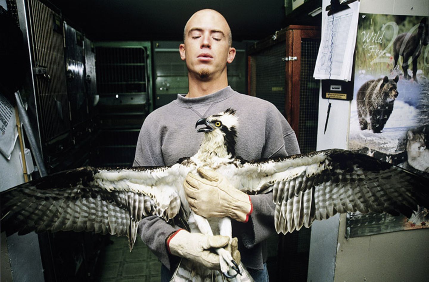 Tiere: Fotostrecke: In guten Händen - Bild 9