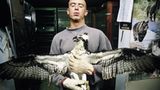 Tiere: Fotostrecke: In guten Händen - Bild 9