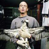 Tiere: Fotostrecke: In guten Händen - Bild 9