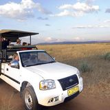 Tierschutz: Fotostrecke: Gefährdete Geparden - Bild 21