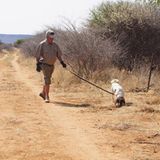 Tierschutz: Fotostrecke: Gefährdete Geparden - Bild 23