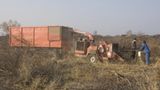 Tierschutz: Fotostrecke: Gefährdete Geparden - Bild 26