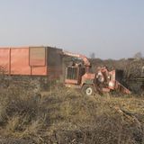 Tierschutz: Fotostrecke: Gefährdete Geparden - Bild 26