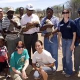 Tierschutz: Fotostrecke: Gefährdete Geparden - Bild 27