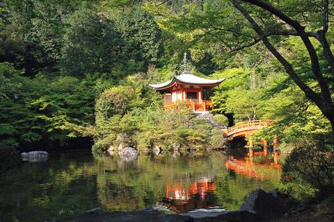 Fotogalerie: Pilgern in Japan