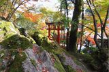 I Shiyama-Dera