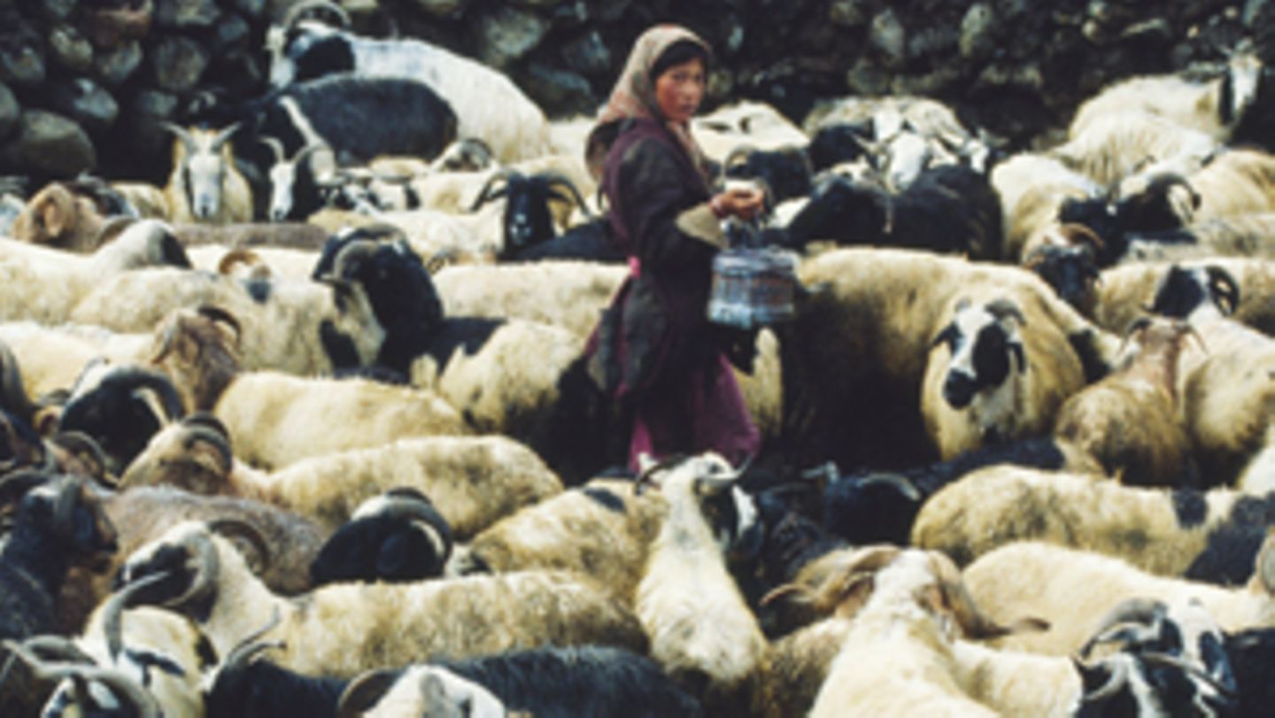 Fotogalerie Faszination Himalaya [GEO]