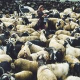 Nimaling-Hochebene (1983)