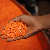 UNICEF: Warum Rajib täglich schuftet - Bild 3