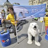 Tierschutz: Fotostrecke: Eisbären schützen