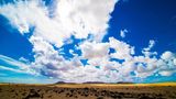 Dünen, Corralejo