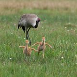 In die weite Welt hinaus