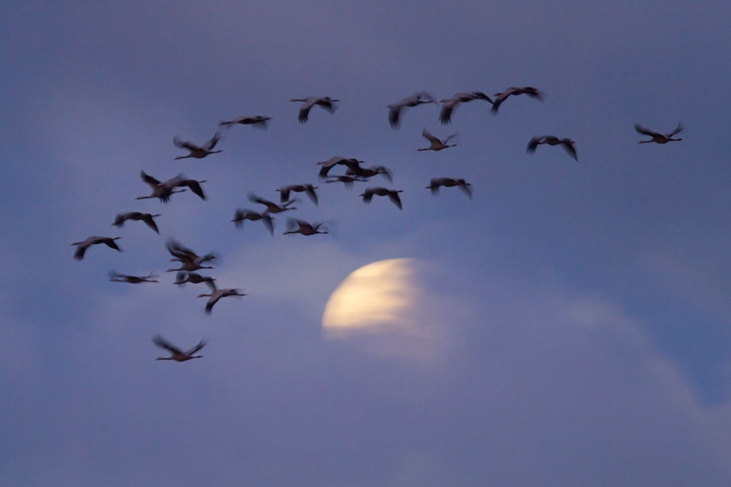 Abendeinflug mit Mond