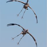 Kurz vor der Landung