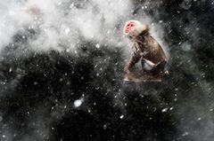 Schnee-Moment