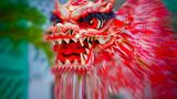 Drachen Legenden: Die Fabeltiere im Check