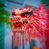 Drachen Legenden: Die Fabeltiere im Check