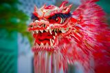 Drachen Legenden: Die Fabeltiere im Check