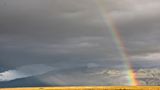 Regenbogen