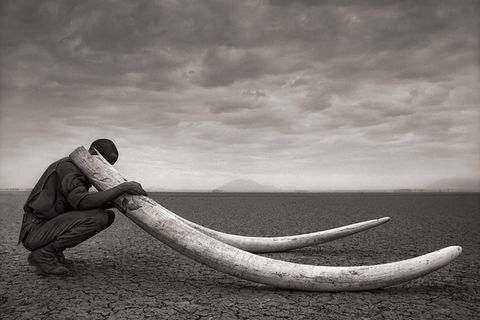 Fotogalerie Afrika: Quer durch wüstes Land
