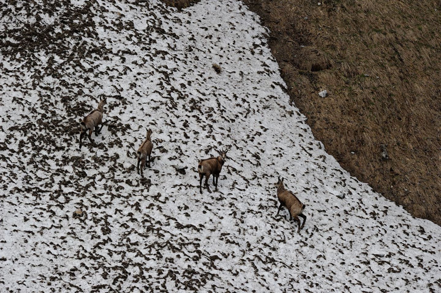 Fotogalerie: Bedrohte Schönheit: Der Nationalpark Hohe Tauern - Bild 12