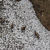 Fotogalerie: Bedrohte Schönheit: Der Nationalpark Hohe Tauern - Bild 12