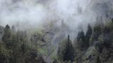 Fotogalerie: Bedrohte Schönheit: Der Nationalpark Hohe Tauern - Bild 13