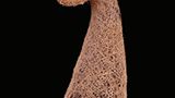 Tiere: Fotostrecke: Architektier - Bild 2