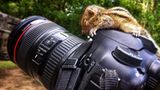 Fotostrecke: Palmenhörnchen Rob und Ziehvater Paul - Bild 2