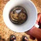 Fotostrecke: Palmenhörnchen Rob und Ziehvater Paul - Bild 3