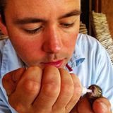 Fotostrecke: Palmenhörnchen Rob und Ziehvater Paul - Bild 10