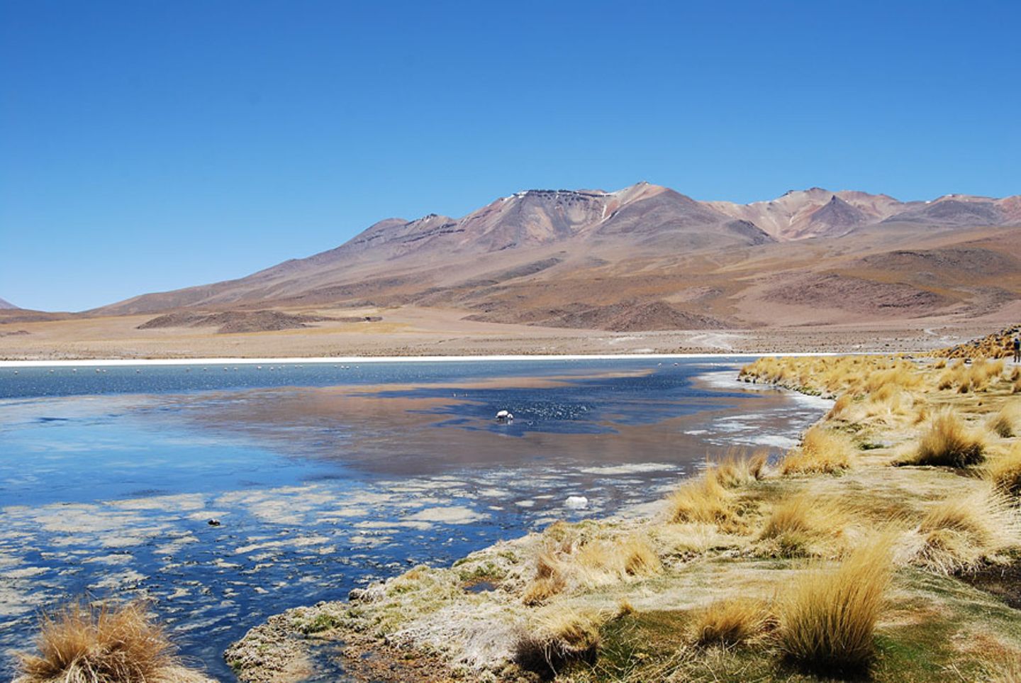 Lagunenlandschaft